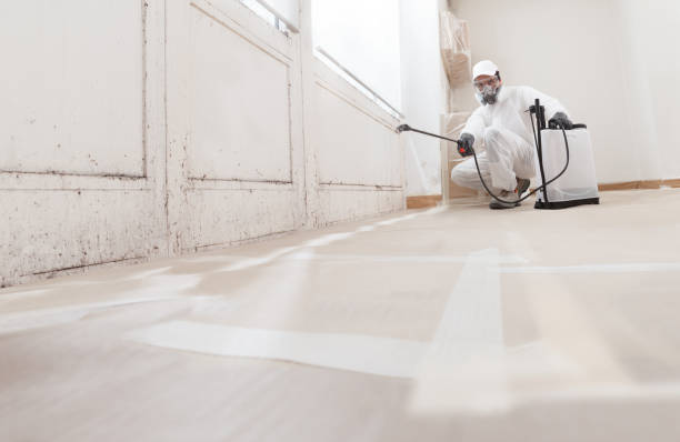24/7 Emergency Basement Mold Remediation experts in Butler, GA